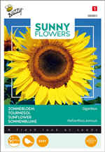 Buzzy Sunny Flowers -auringonkukkien siemenet