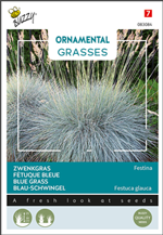 Buzzy Ornamental Grasses -koristeheinien siemenet