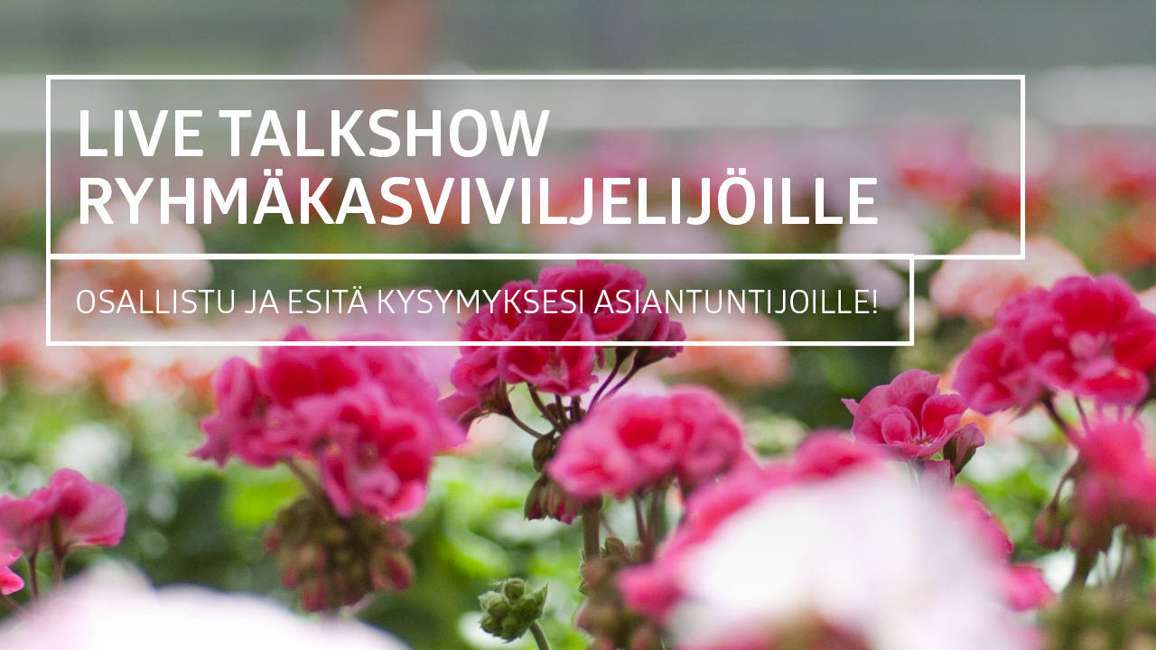 SCHETELIG & KEKKILÄ PROFESSIONAL LIVE TALKSHOW 11.2.2021 KLO 9-11