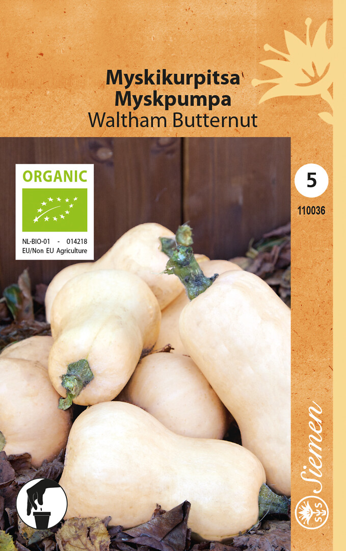 Luomu myskikurpitsa Waltham Butternut