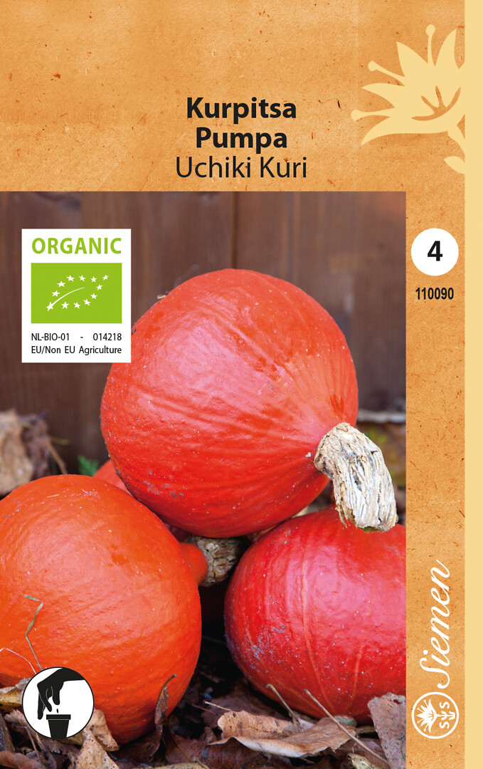 Luomu kurpitsa Uchiki Kuri