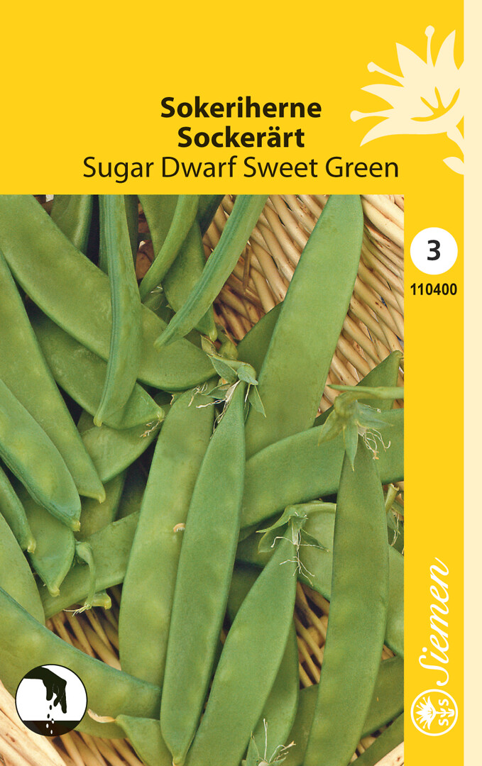 Sokeriherne Sugar Dwarf Sweet Green