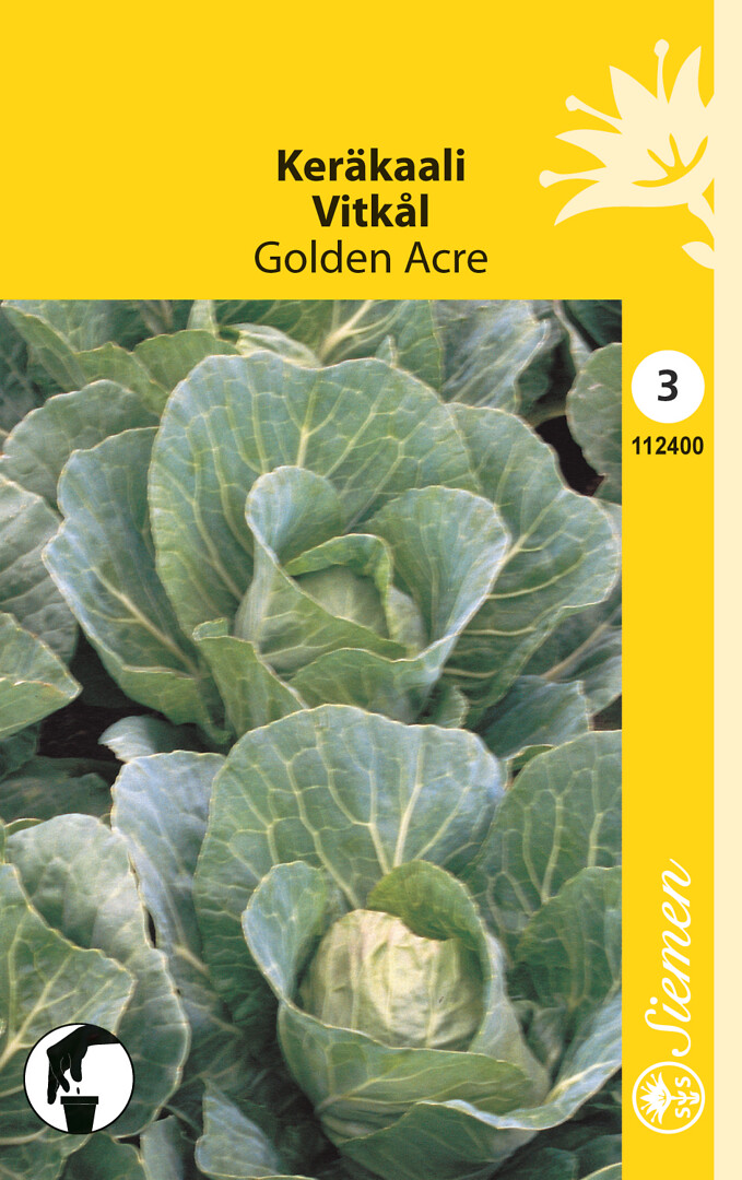 Keräkaali Golden Acre