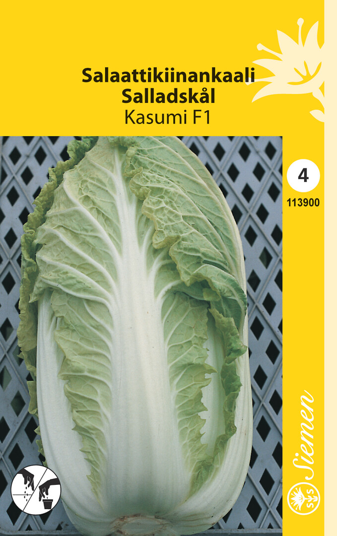 Salaattikiinankaali Kasumi/Trevor F1
