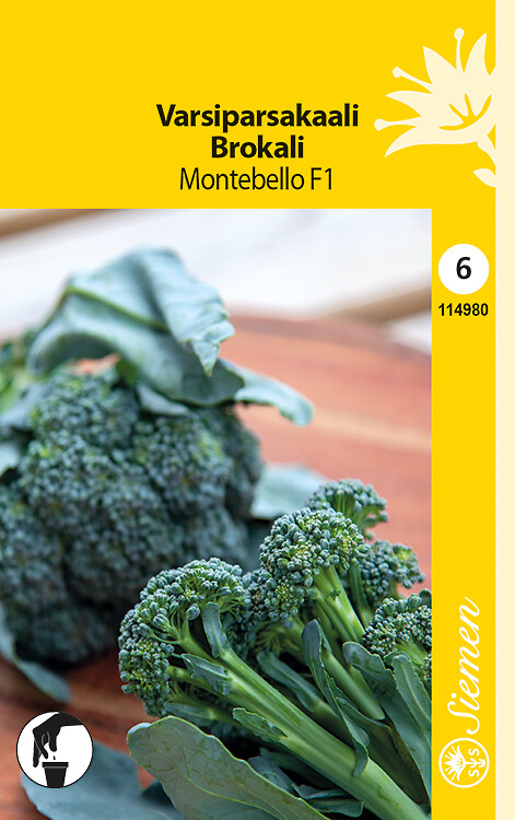 Varsiparsakaali Montebello F1
