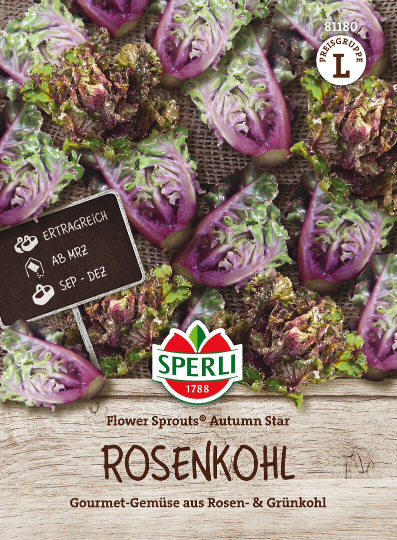 Ruusukaali Flower Sprouts® Autumn Star F1