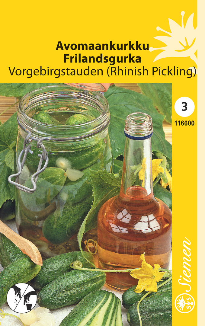 Avomaankurkku Vorgebirgstauden (Rhinish Pickling)