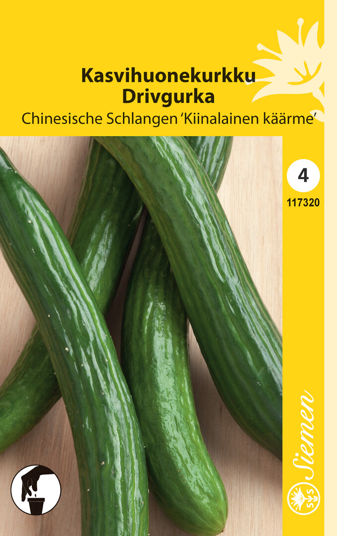 Kasvihuonekurkku Kiinalainen Käärme/Chinesische Schlangen