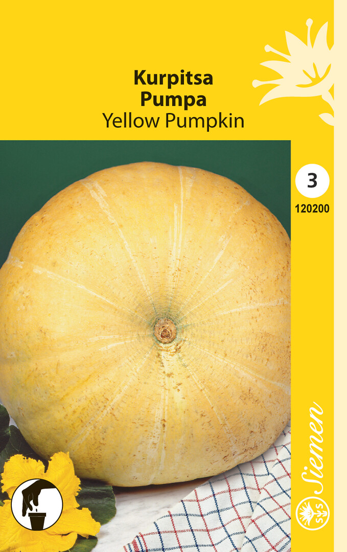 Kurpitsa Yellow Pumpkin