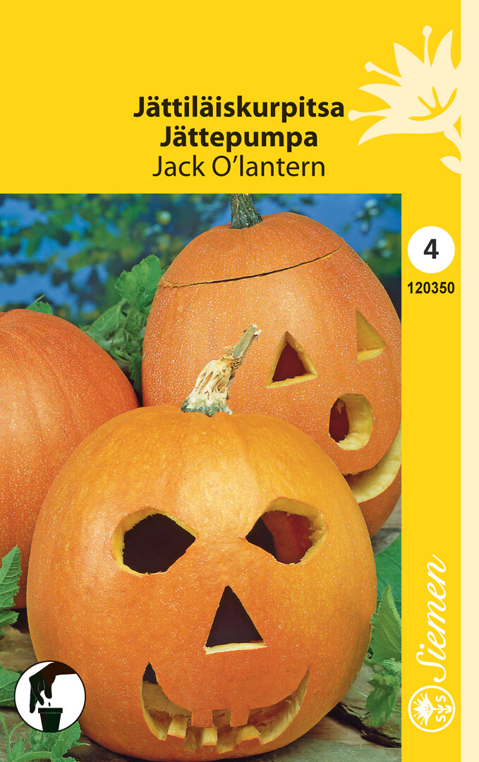 Jättiläiskurpitsa Jack O'Lantern