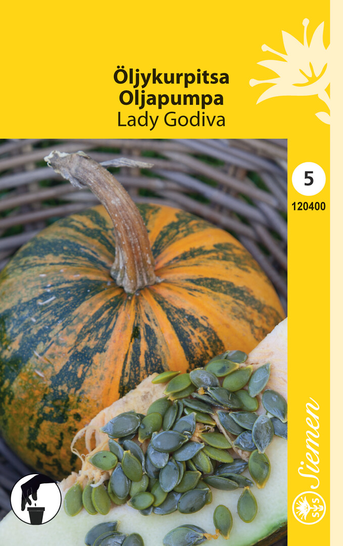Öljykurpitsa Lady Godiva