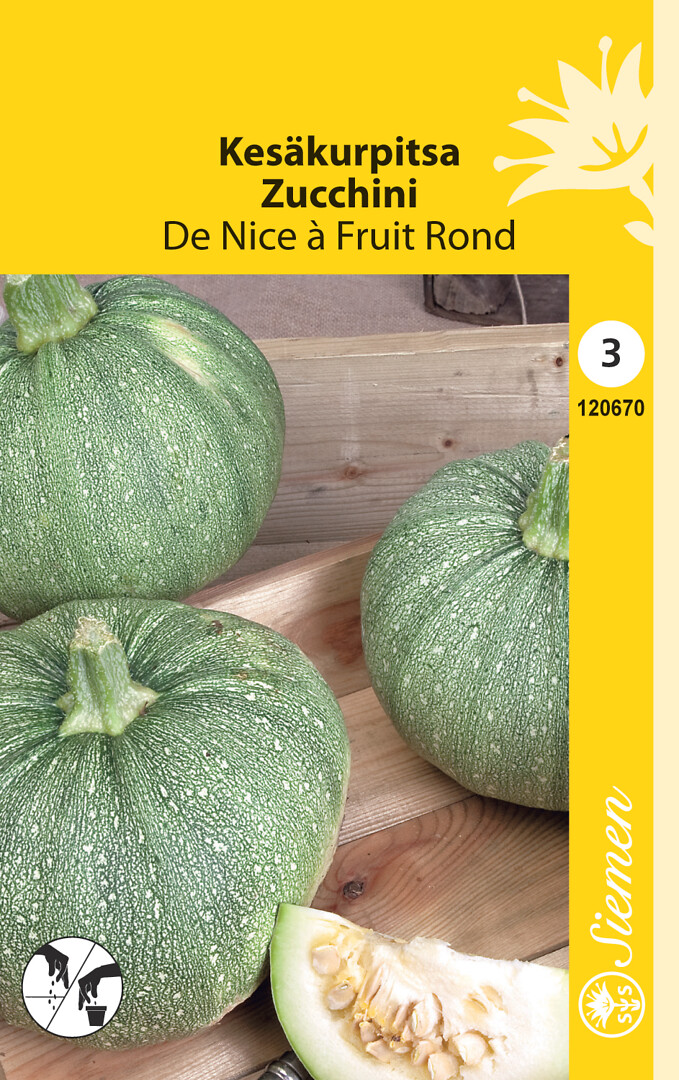 Kesäkurpitsa De Nice À Fruit Rond