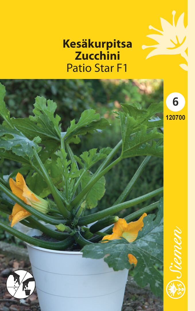 Kesäkurpitsa Patio Star F1