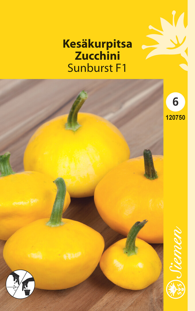 Kesäkurpitsa Sunburst F1