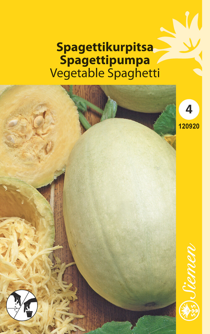 Spagettikurpitsa Vegetable Spaghetti