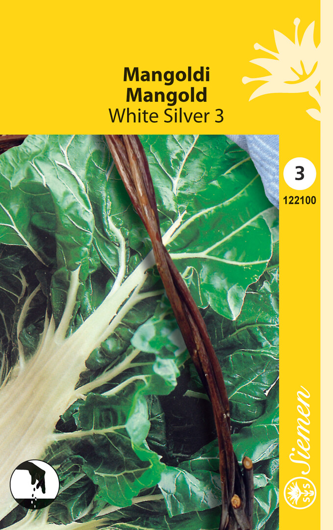 Mangoldi White Silver 3