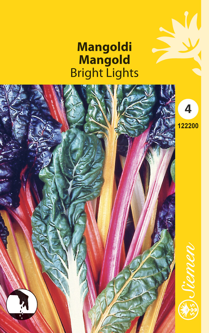 Mangoldi Bright Lights