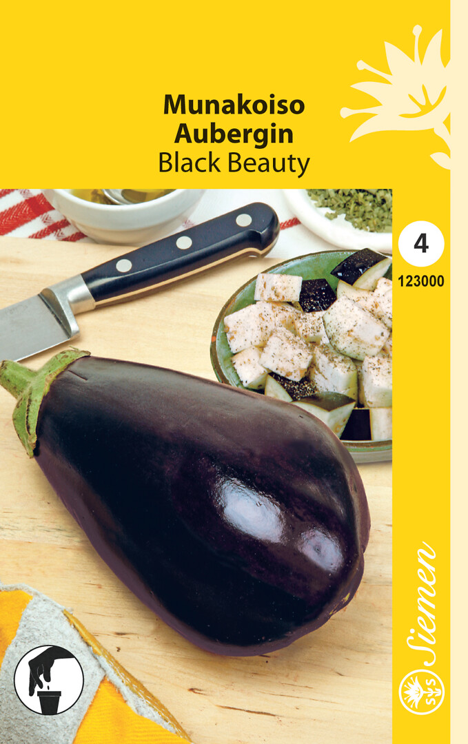 Munakoiso eli munahedelmä Black Beauty