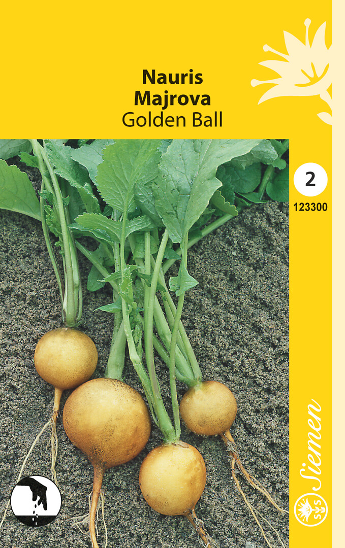 Nauris Golden Ball