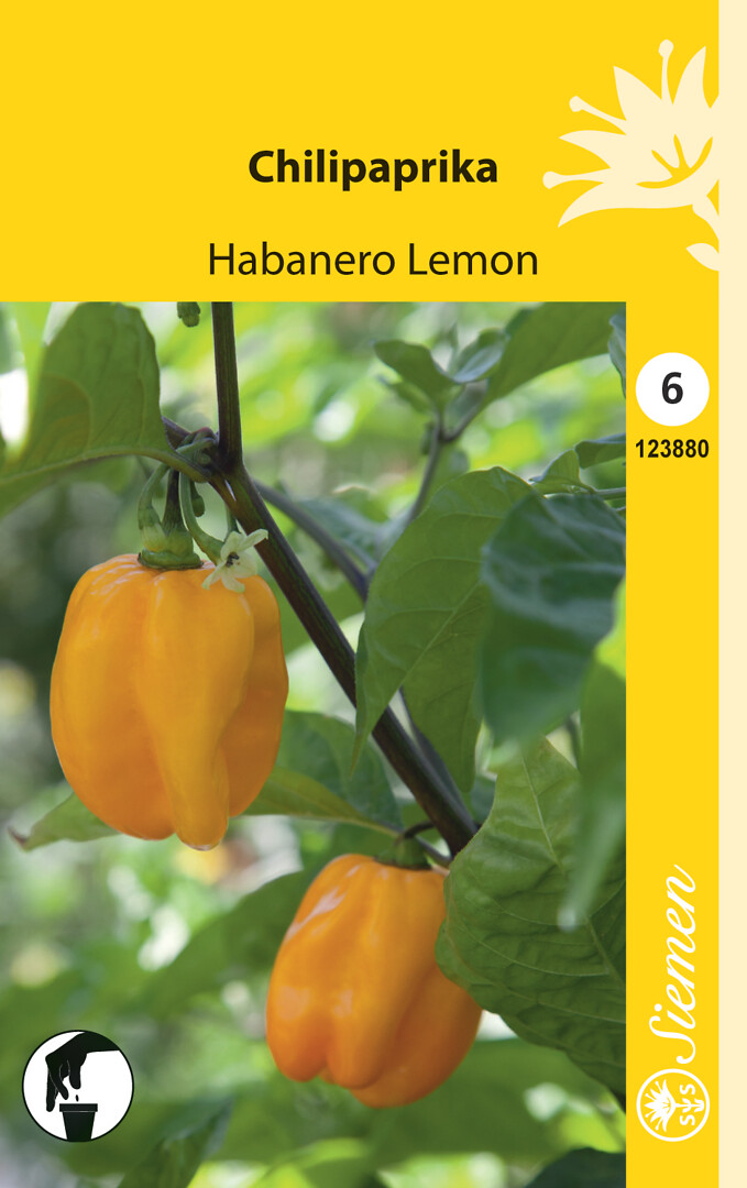 Chilipaprika Habanero Lemon