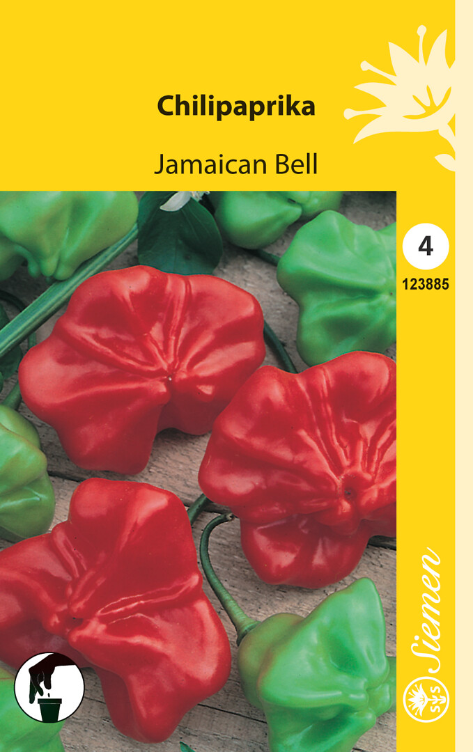 Chilipaprika Jamaican Bell