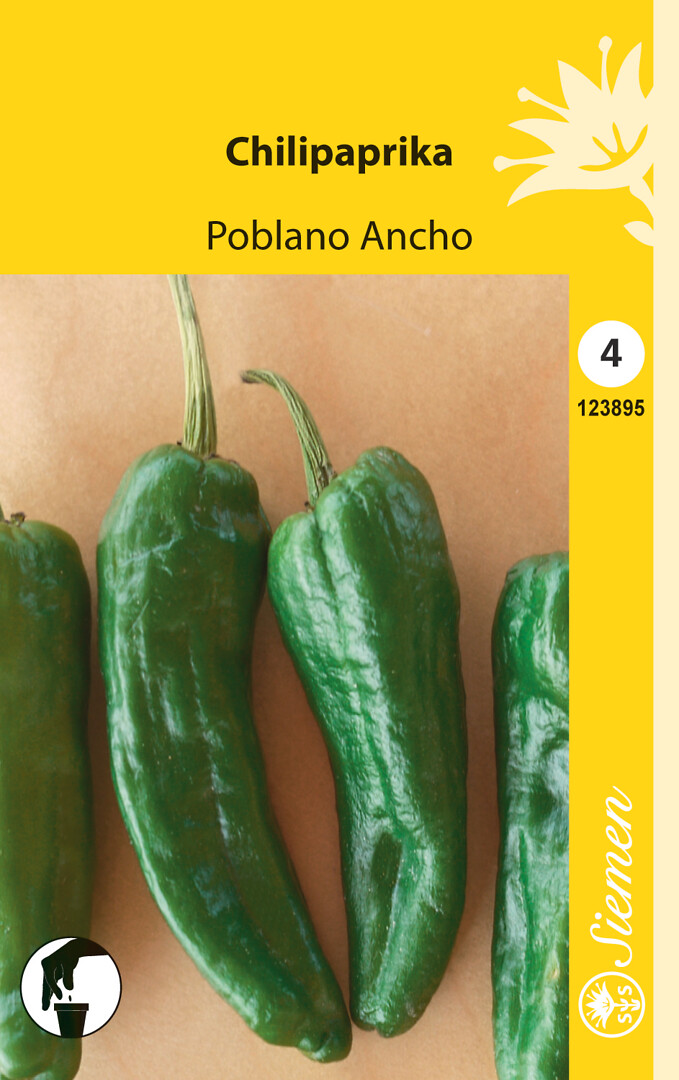 Chilipaprika Poblano Ancho