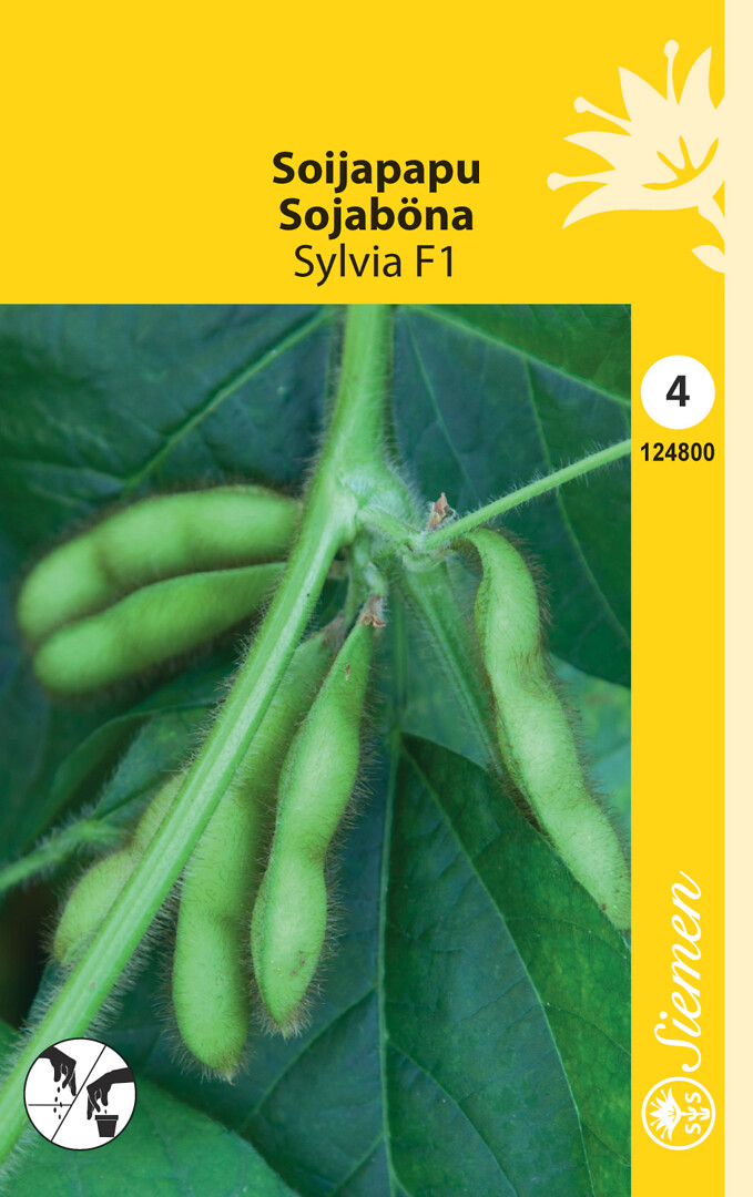 Soijapapu Sylvia F1