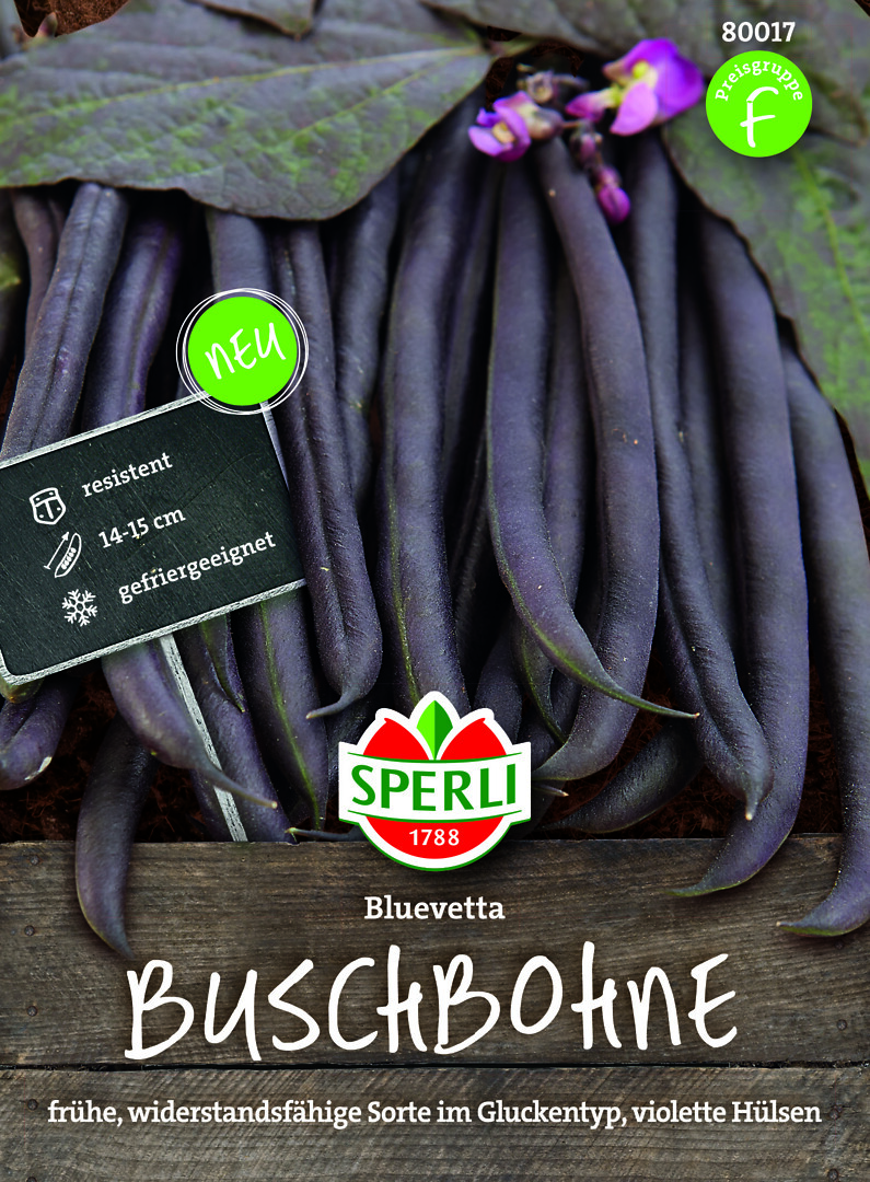 Pensaspapu Bluevetta