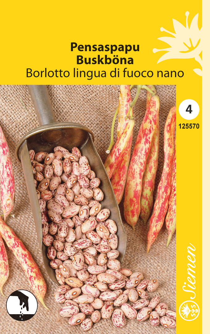 Pensaspapu Borlotto Lingua Di Fuoco Nano