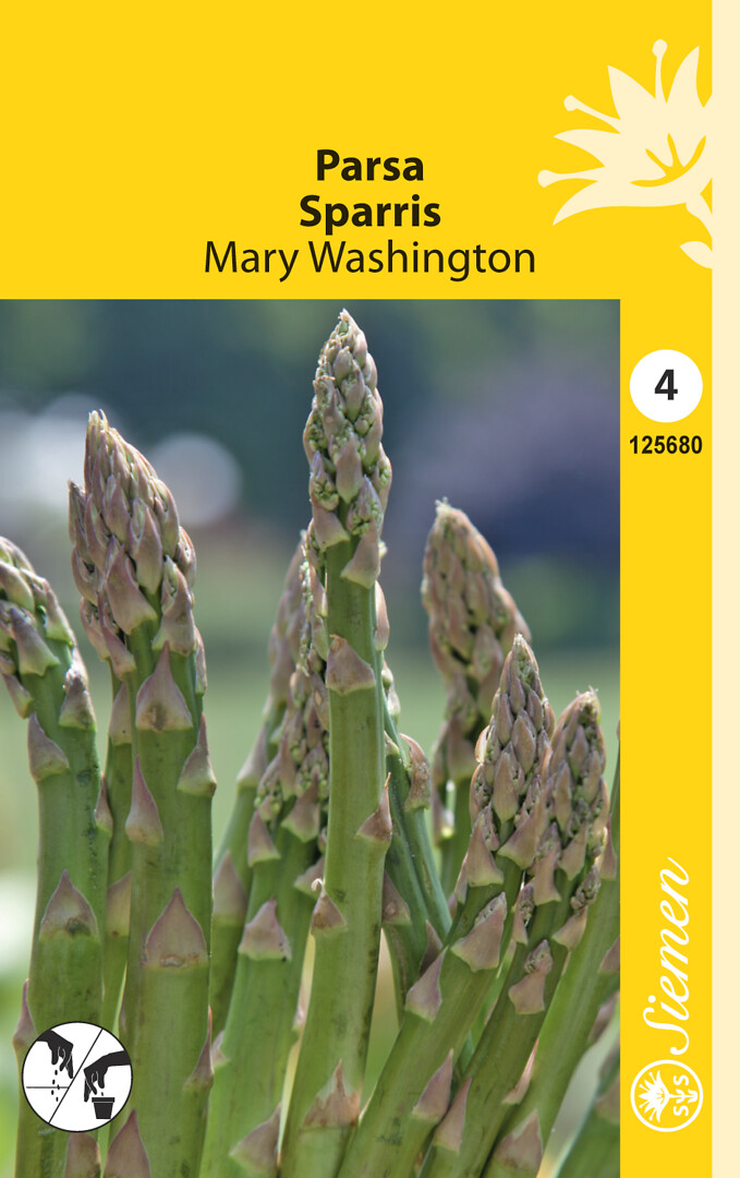 Parsa Mary Washington