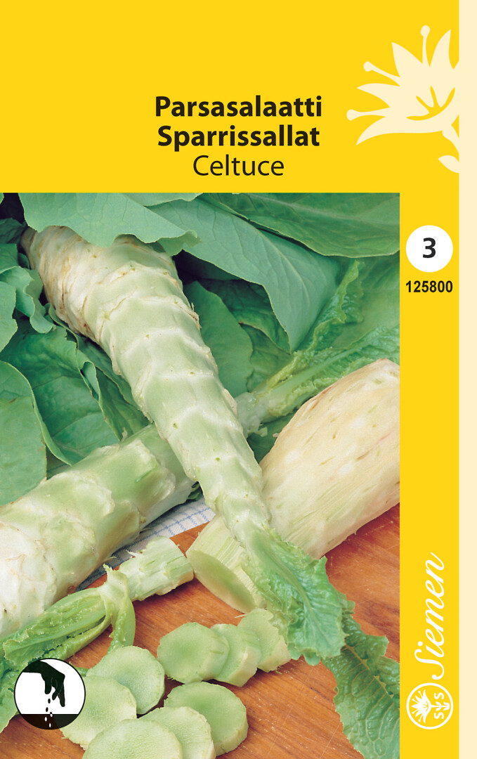 Parsasalaatti Celtuce
