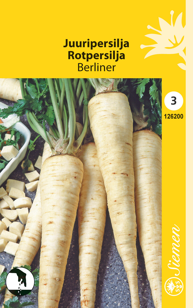 Juuripersilja Berliner