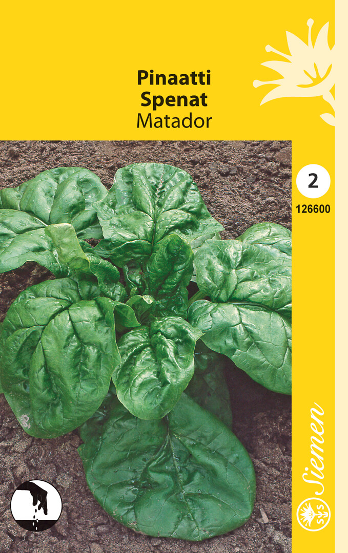 Pinaatti Matador