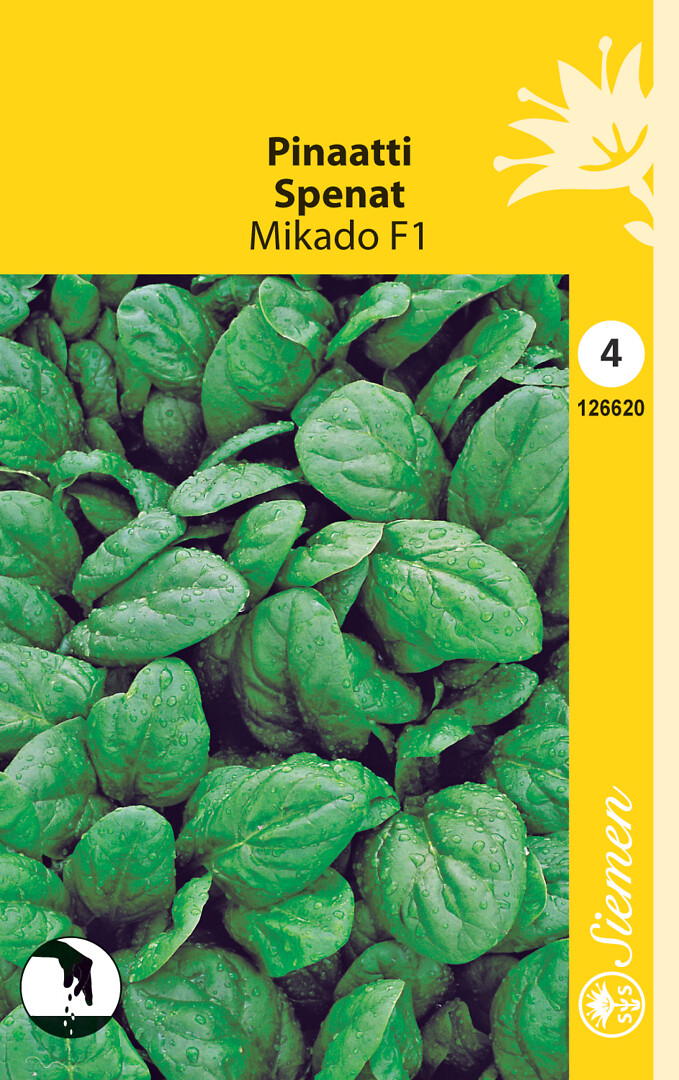 Pinaatti Mikado F1