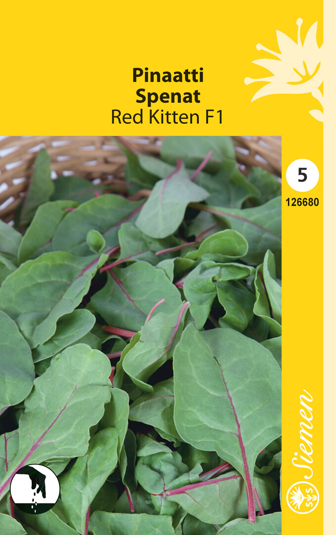 Pinaatti Red Kitten F1