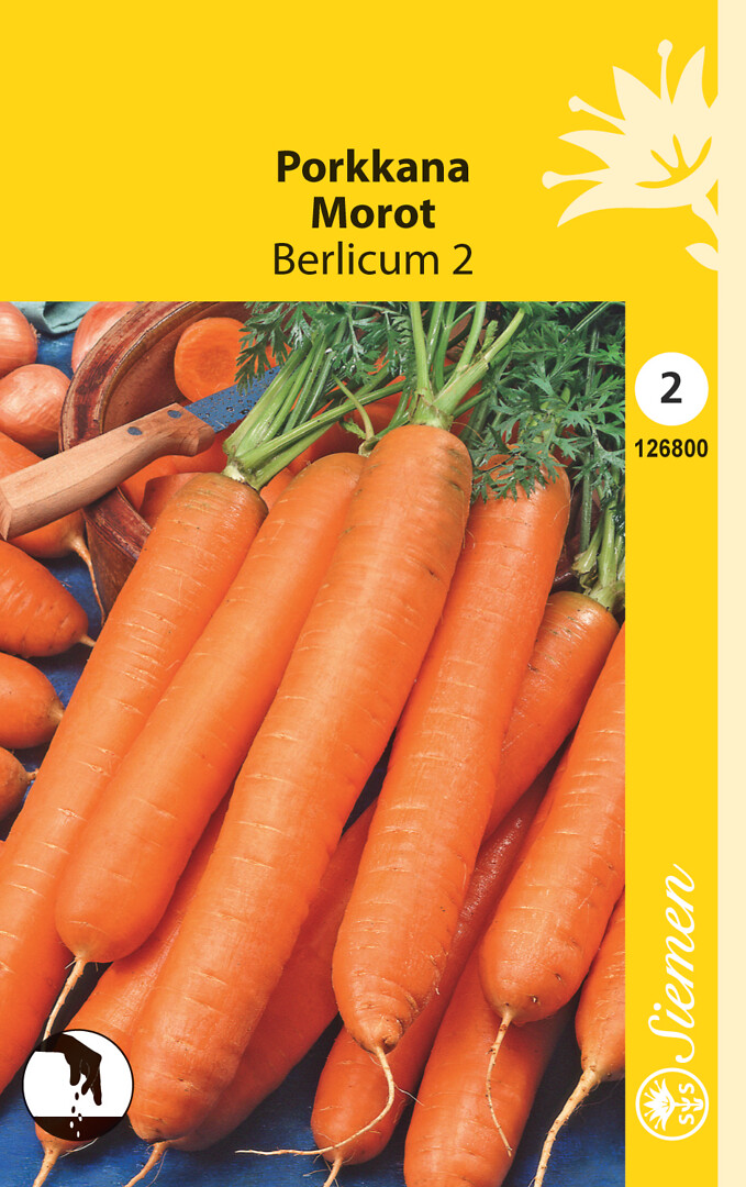 Porkkana Berlicum 2