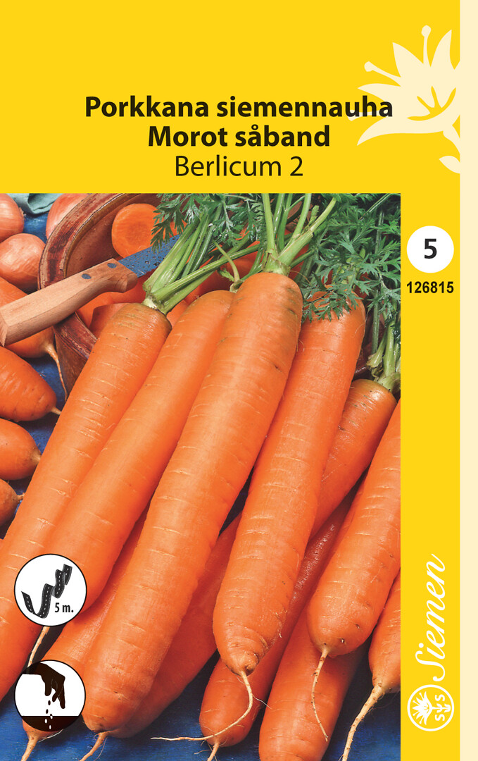 Porkkana Berlicum 2 siemennauha 5 m