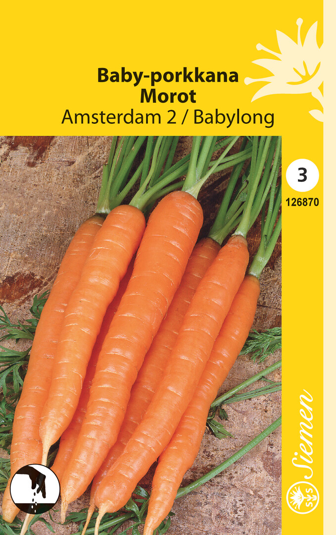 Baby-porkkana Amsterdam 2