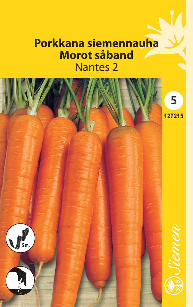 Porkkana Nantes 2 siemennauha 5 m
