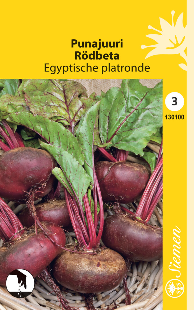 Punajuurikas D'Egypte/Egyptiläinen