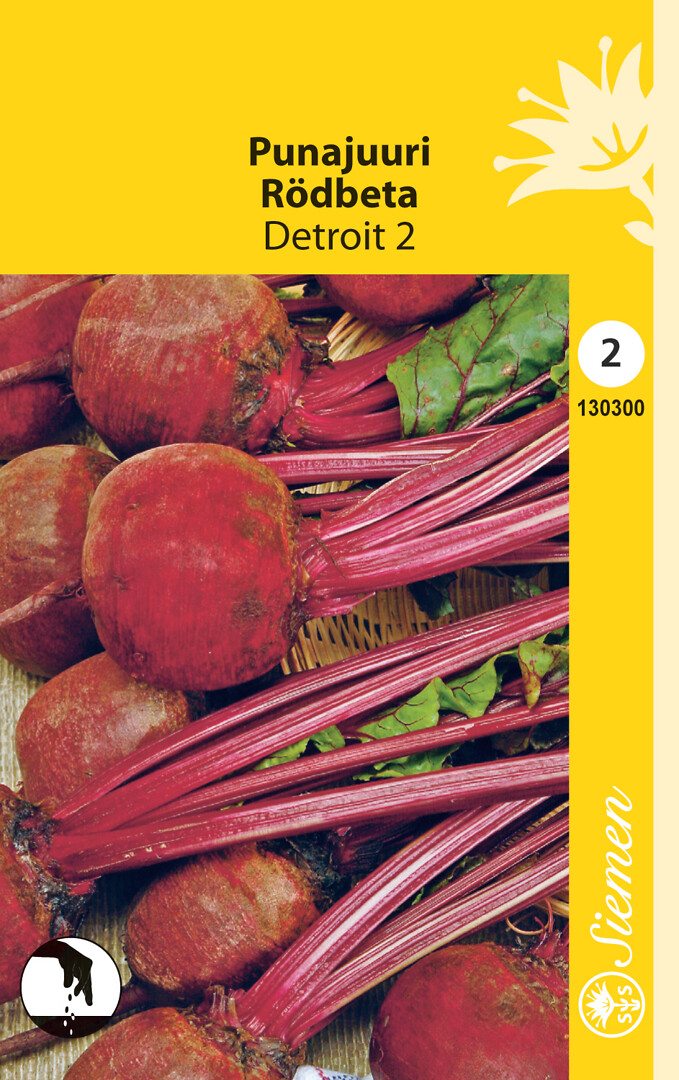 Punajuurikas Detroit 2