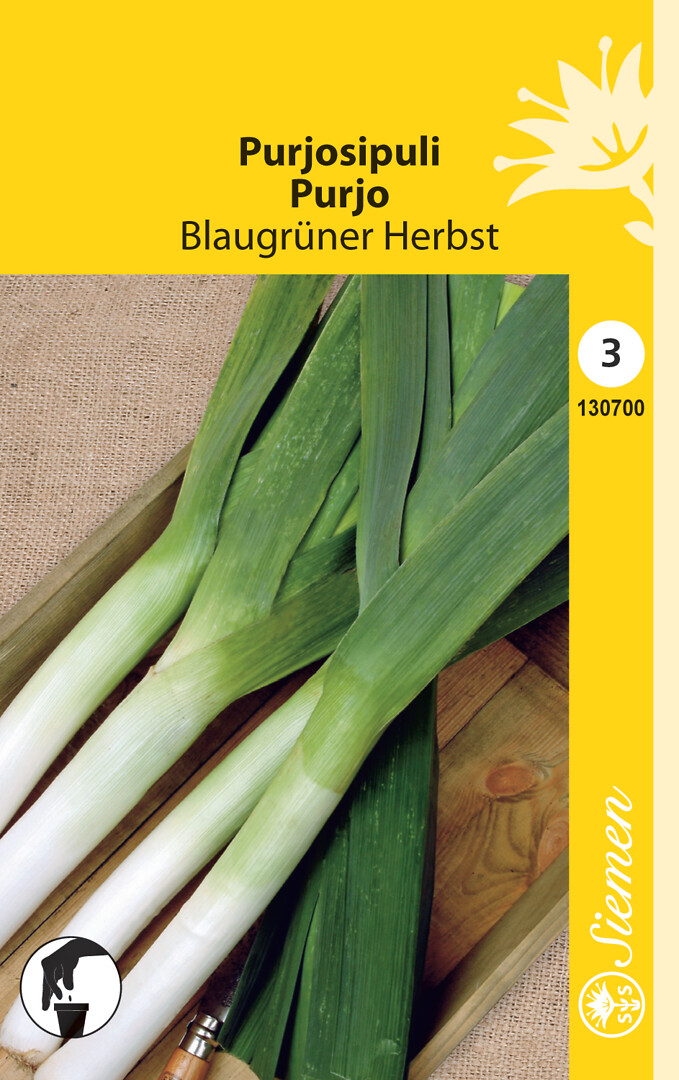 Purjo Blaugrüner Herbst