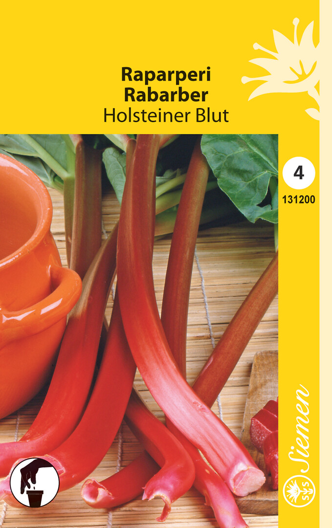 Raparperi Holsteiner Blut