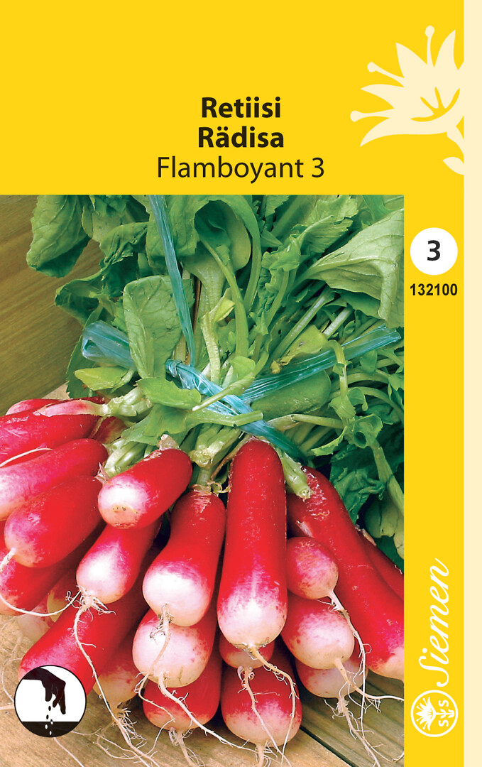 Retiisi Flamboyant 3