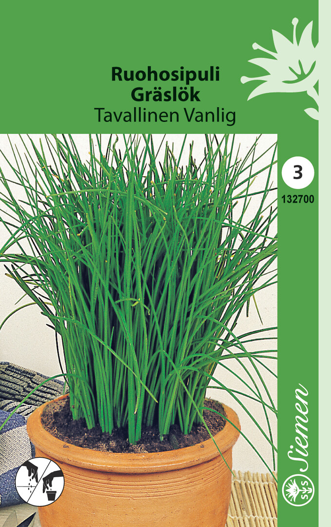 Ruohosipuli tavallinen