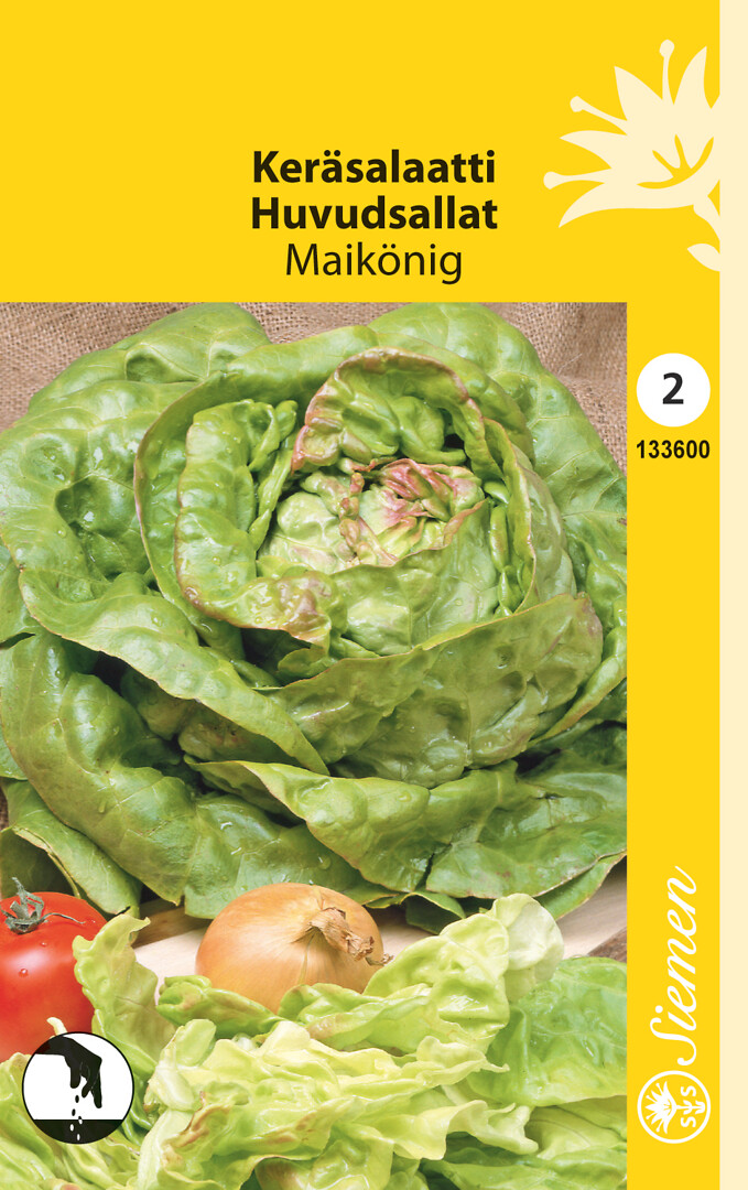 Keräsalaatti Kevätkuningas / Maikönig