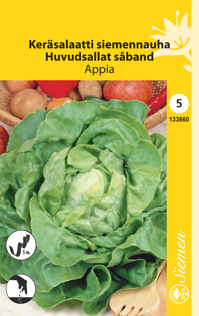 Siemennauha keräsalaatti Appia