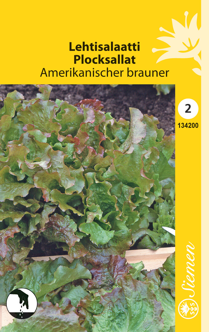 Lehtisalaatti Amerikanischer Brauner