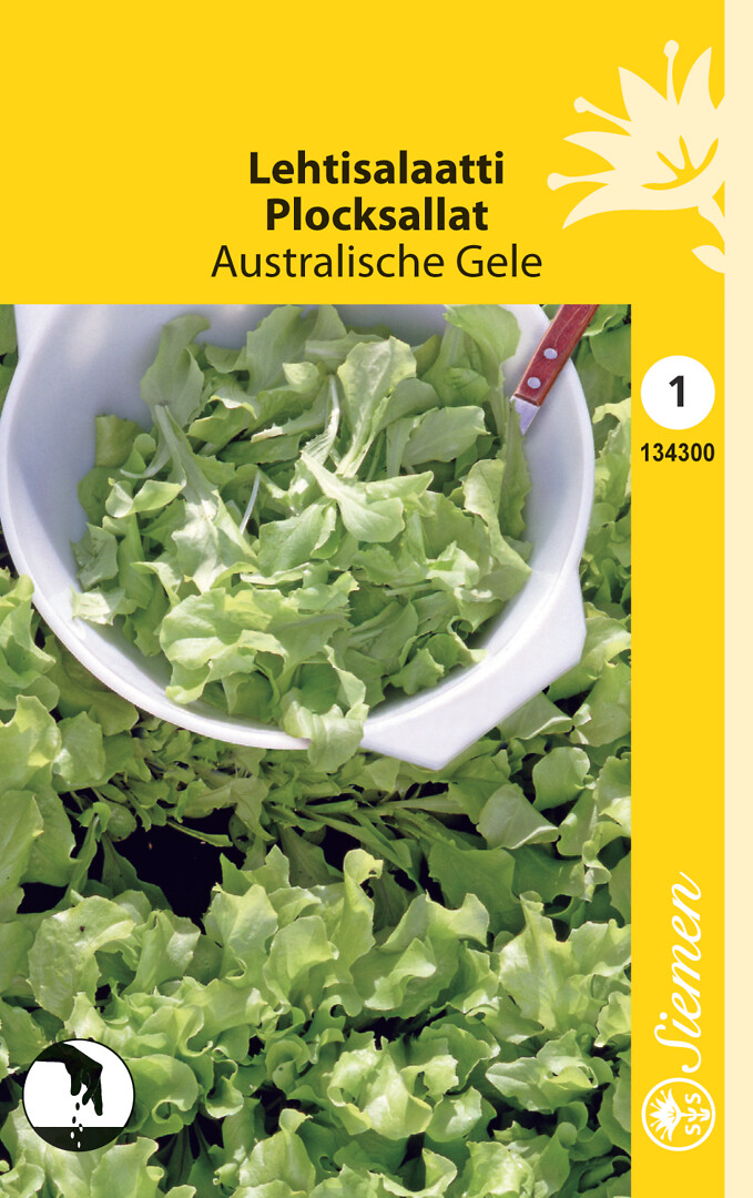 Lehtisalaatti Australialainen/Australische Gele