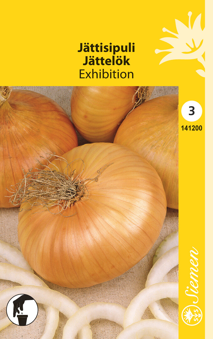 Jättisipuli Exhibition